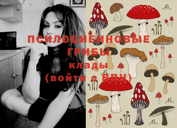 амф Абаза