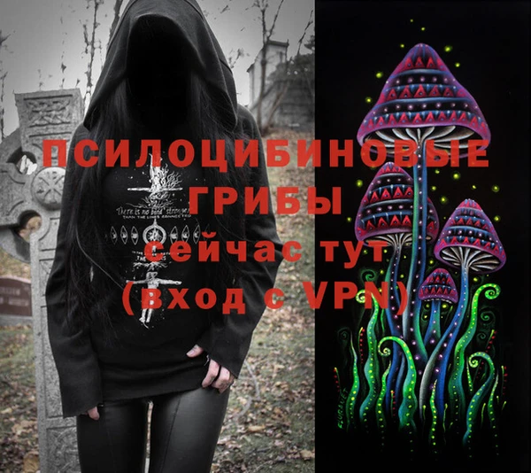 прущие крисы Алексин