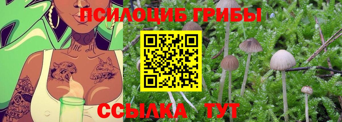 Псилоцибиновые грибы Psilocybe  Псилоцибиновые грибы Cubensis  Саянск  Вход с VPN 